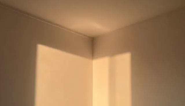 直播运营服务选型关注点,性能与适用条件分析