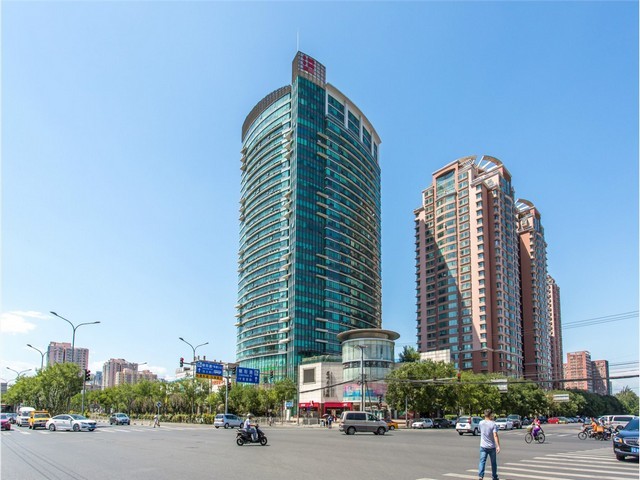 河北天然贺百岁趣湿茶价位